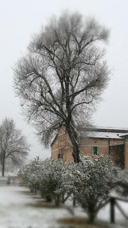 Agriturismo Le Giarine Fogliano Redipúglia Exterior foto